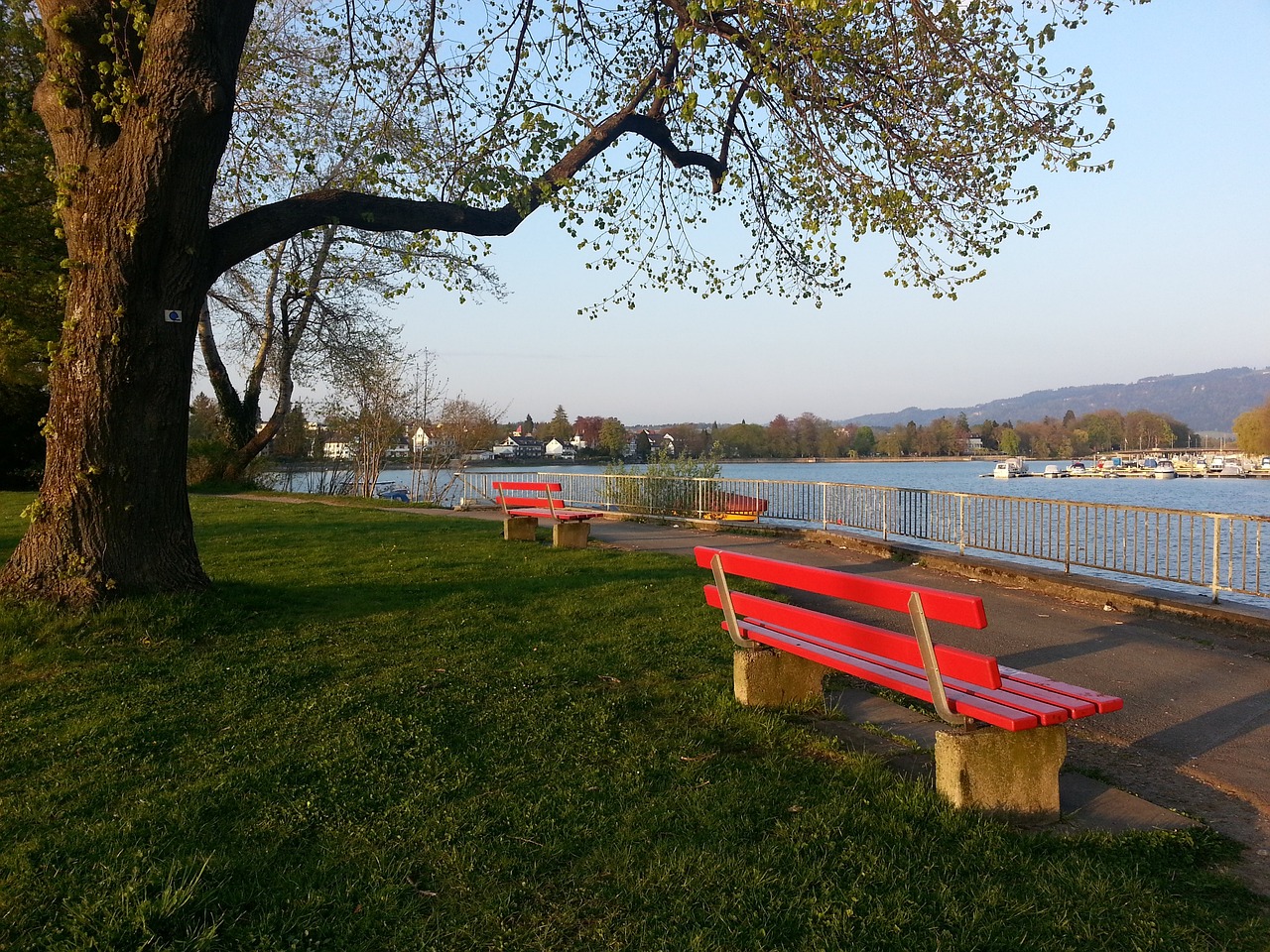 瑞士导演吉 瑞士导演吉