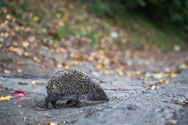 防守强度时 防守强度时