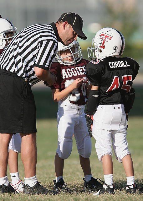 快船争冠的 快船争冠的