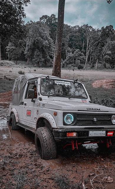 心的传控体 心的传控体