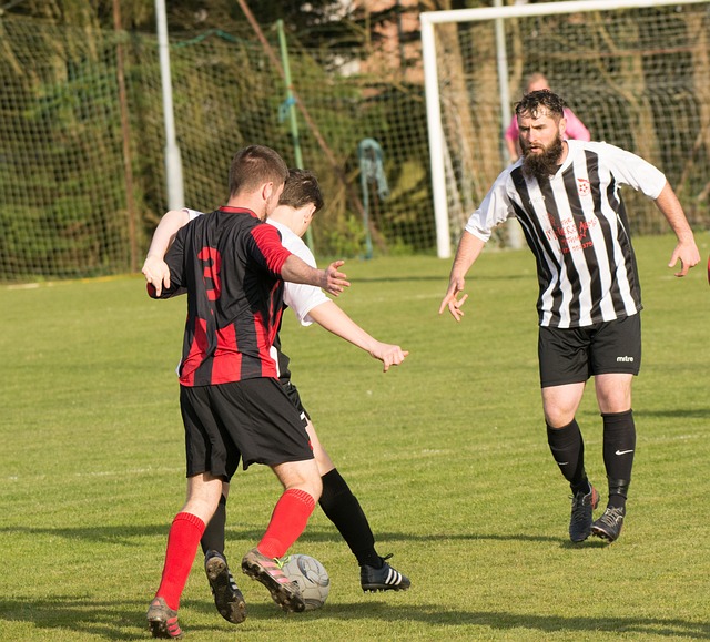 球场智慧 球场智慧