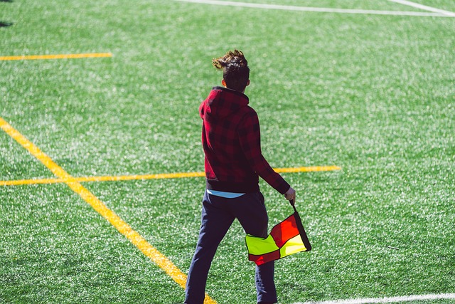 稳定进步 稳定进步