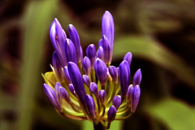 的进步得到 的进步得到