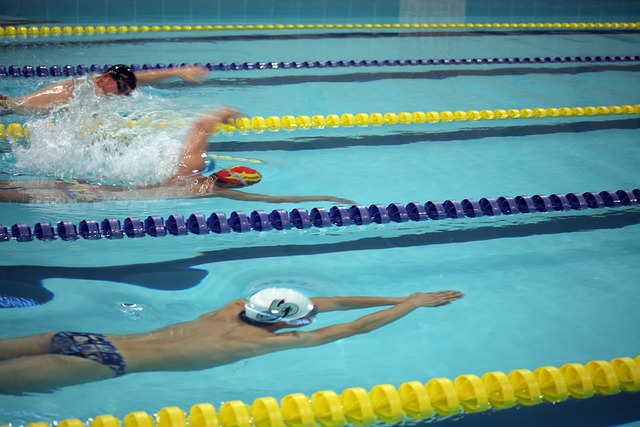 可能的对手 可能的对手