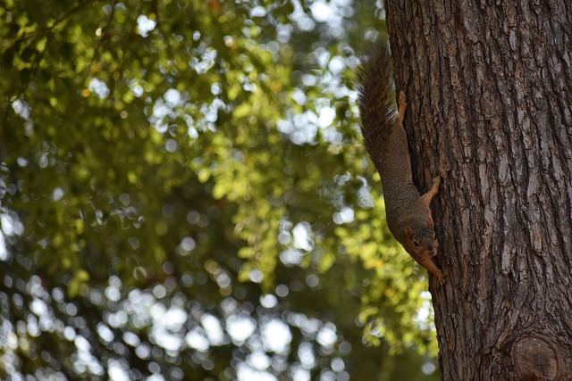 和尤文的 和尤文的